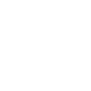 Corsica-ferries
